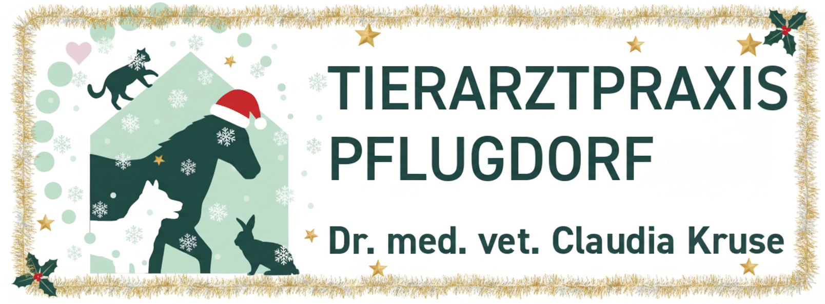 Tierarzt Praxis Pflugdorf
